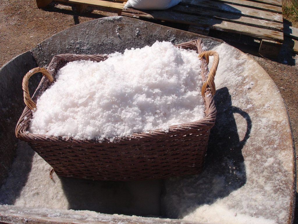 salt france