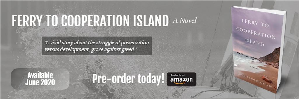 Ferry to Cooperation island pre-order