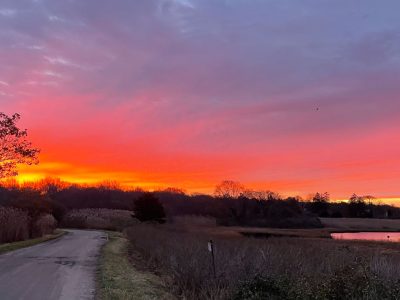 sunrise sheffield cove