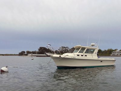 Felix Albin 28TE on mooring in Woods Hole